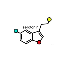 Serotonin Levels Linked to Mental Health and Fibromyalgia?